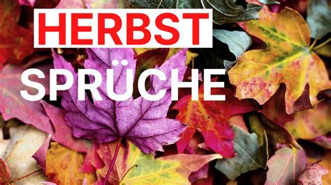 herbstgruß lustig|lustige herbstsprüche.